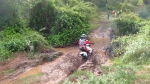 [IMG_3920red[1].jpg]